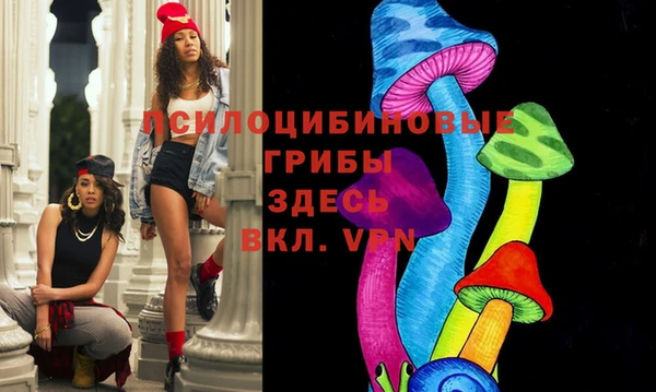 ешки Алексин