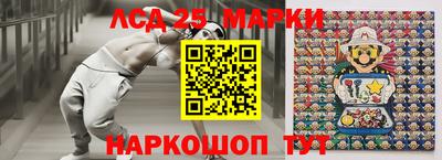 гашик Новокубанск