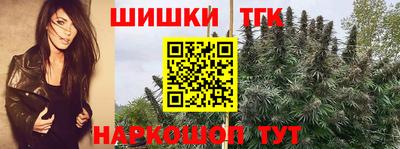 спиды Новодвинск
