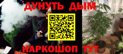 мяу мяу мука Новозыбков