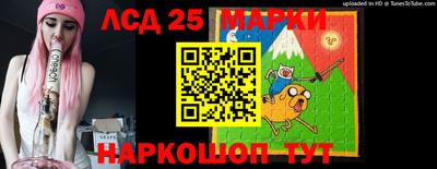 гашик Новокубанск
