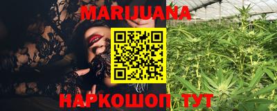 спиды Новодвинск