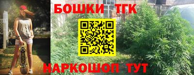 гашик Новокубанск