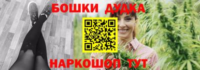 спиды Новодвинск