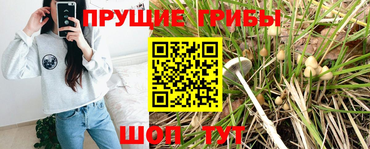 Галлюциногенные грибы ЛСД  Вход с VPN  Галлюциногенные грибы прущие грибы  Феодосия 